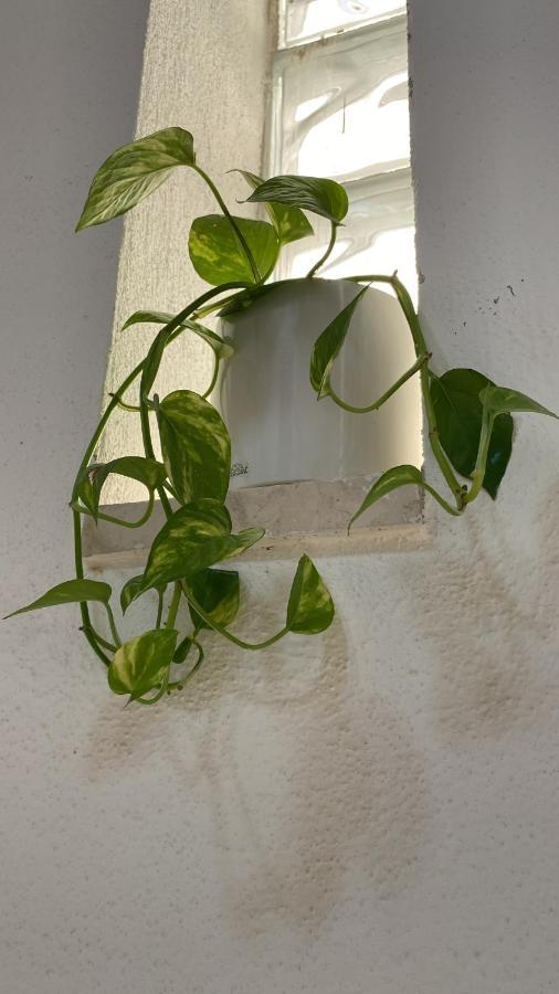 Locanda Le Ginestre Cantalupo in Sabina Extérieur photo